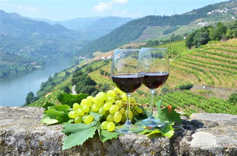 douro valley wine tour